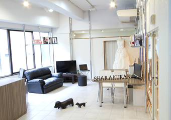 ギャラリー画像 5